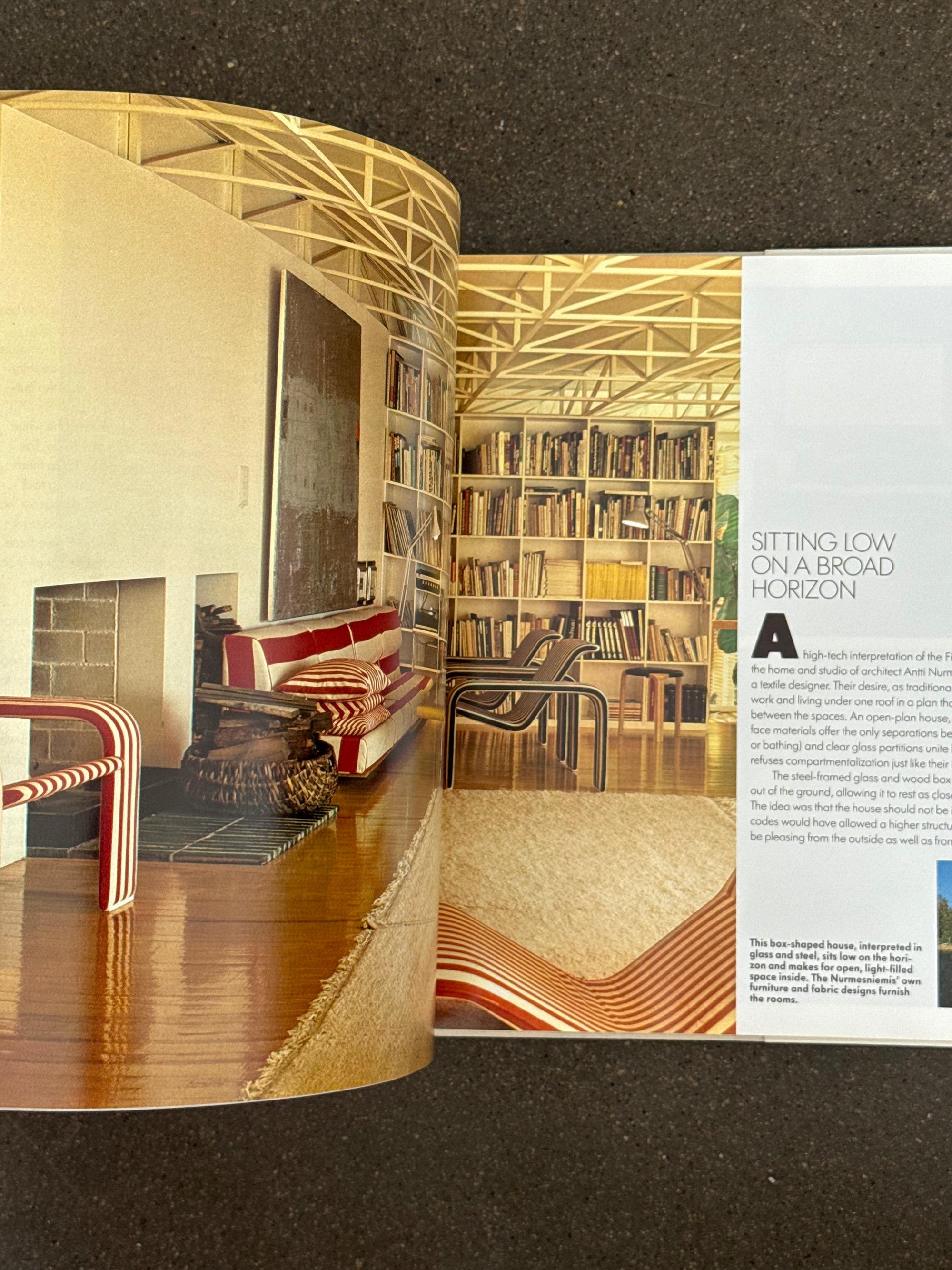 Finland Living Design by Elizabeth Gaynor c.1984