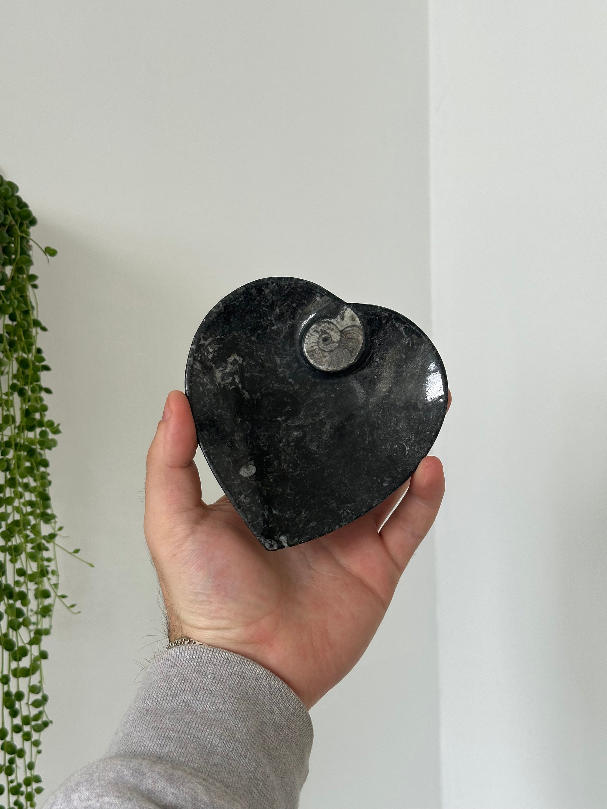 Hand Carved Ammonite Dish