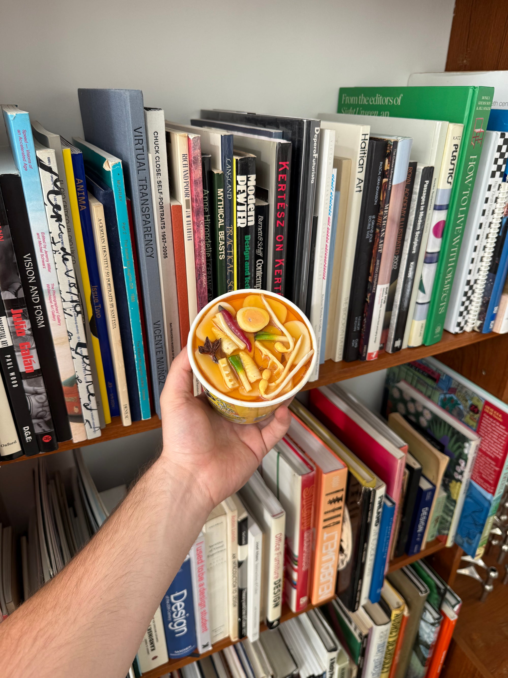 Resin Art Ramen Piggy Bank c.1990