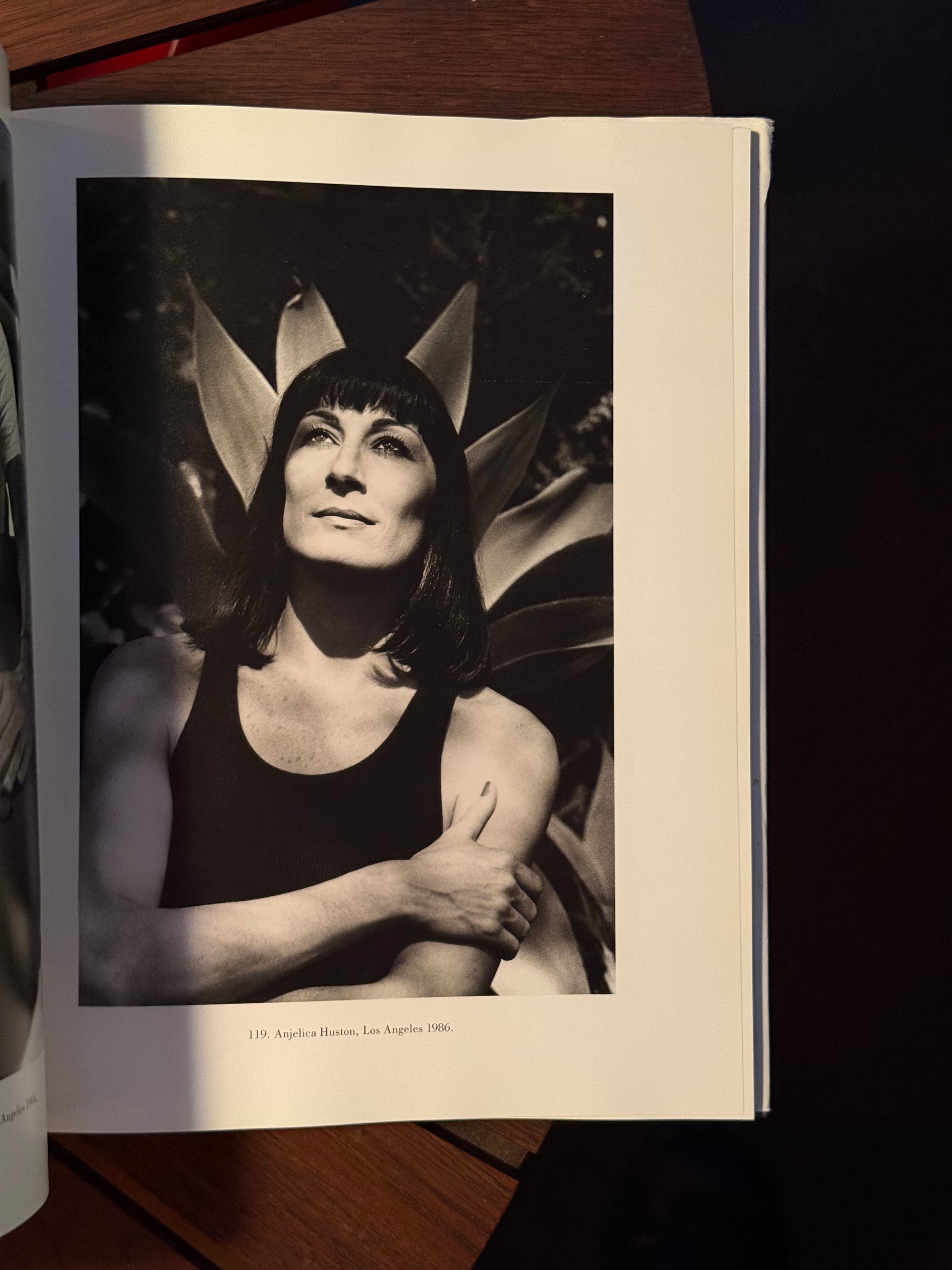 Portraits by Helmut Newton c.1987