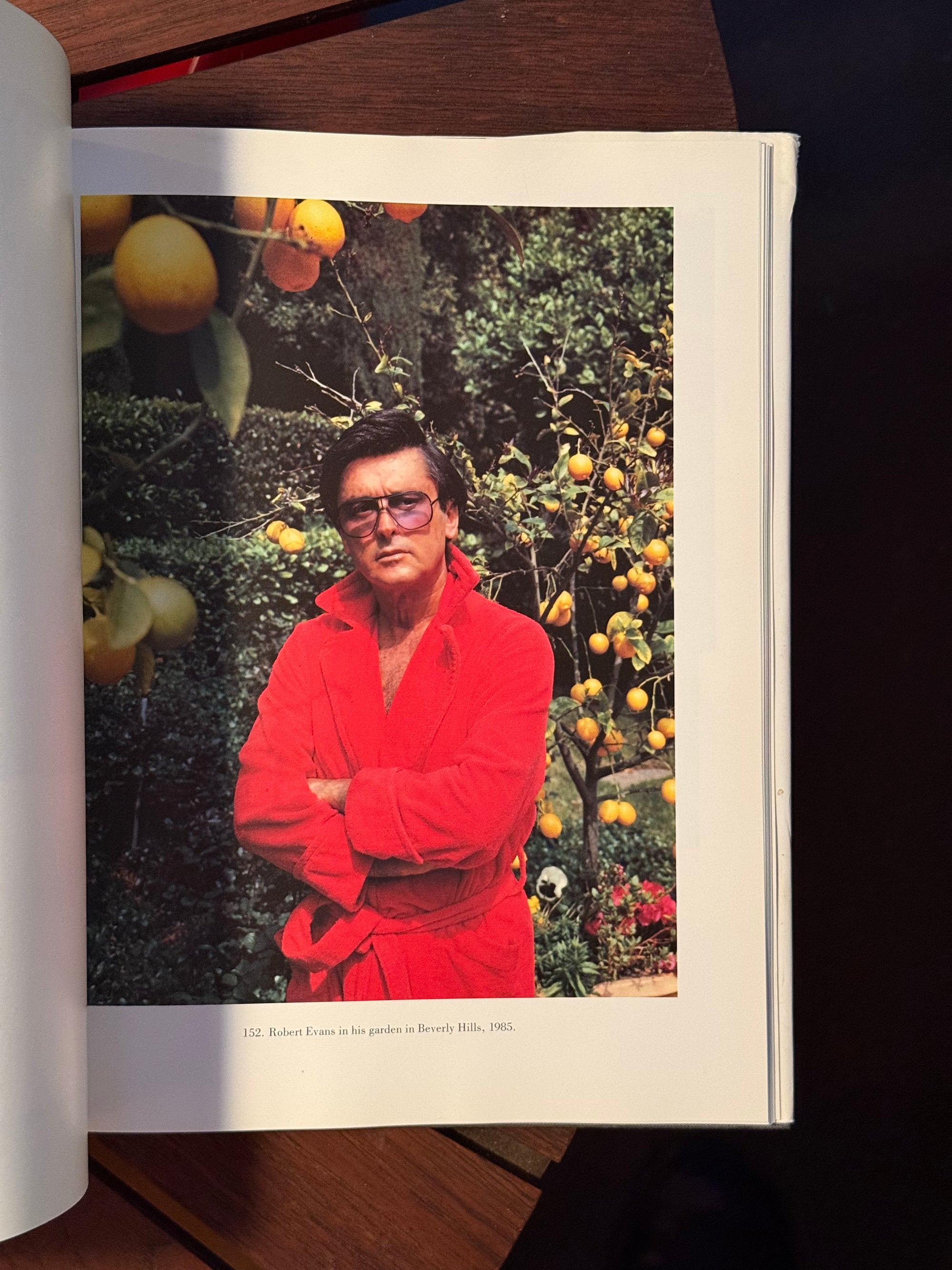 Portraits by Helmut Newton c.1987