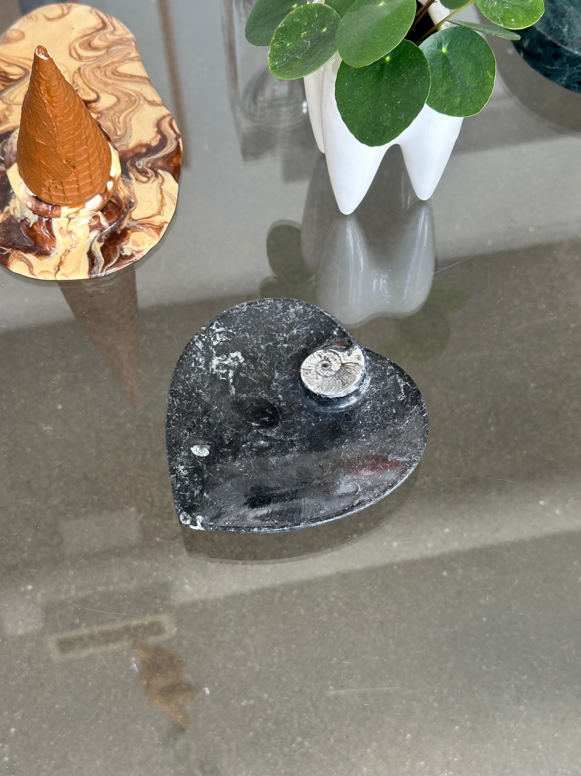 Hand Carved Ammonite Dish