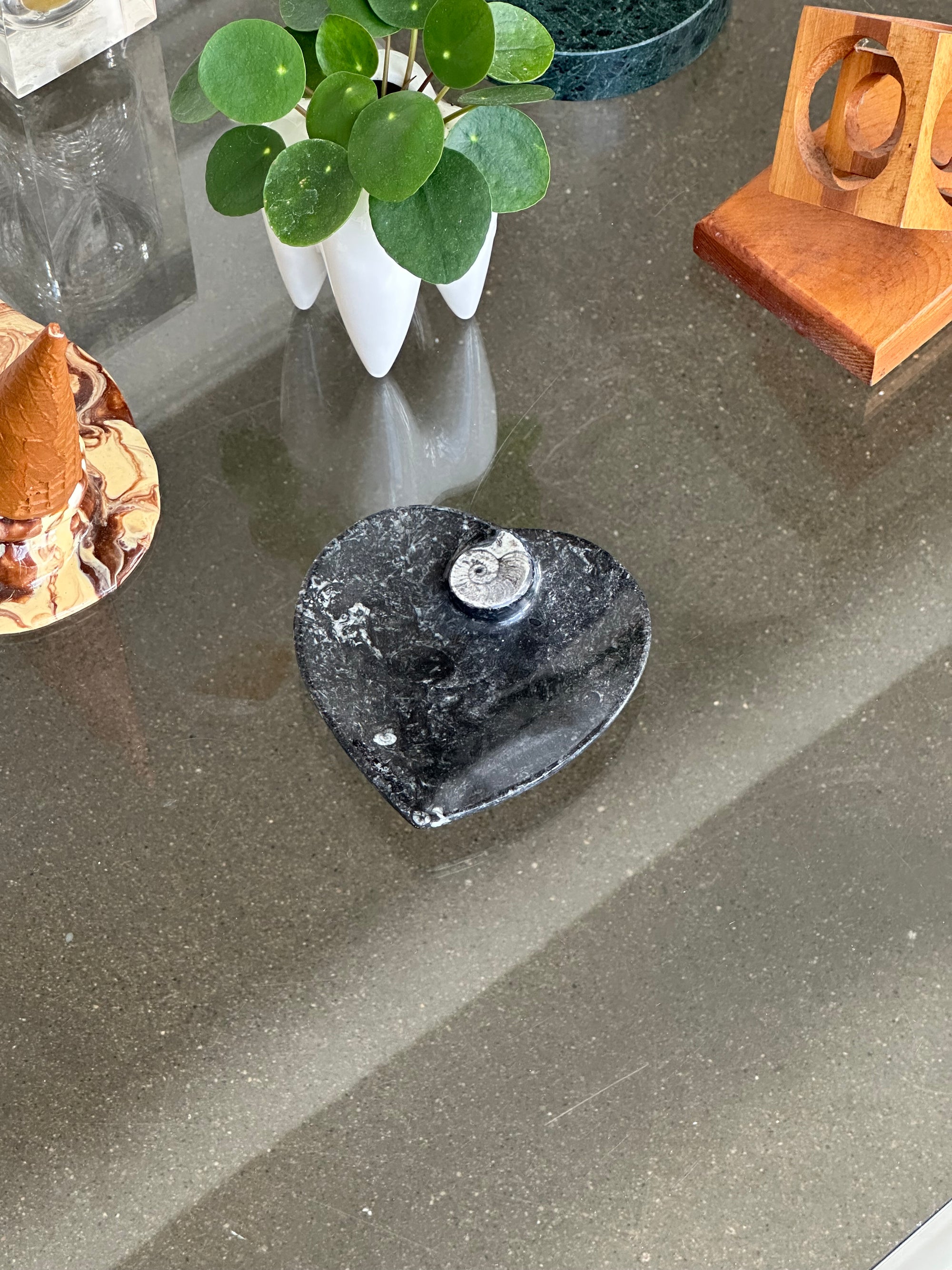 Hand Carved Ammonite Dish