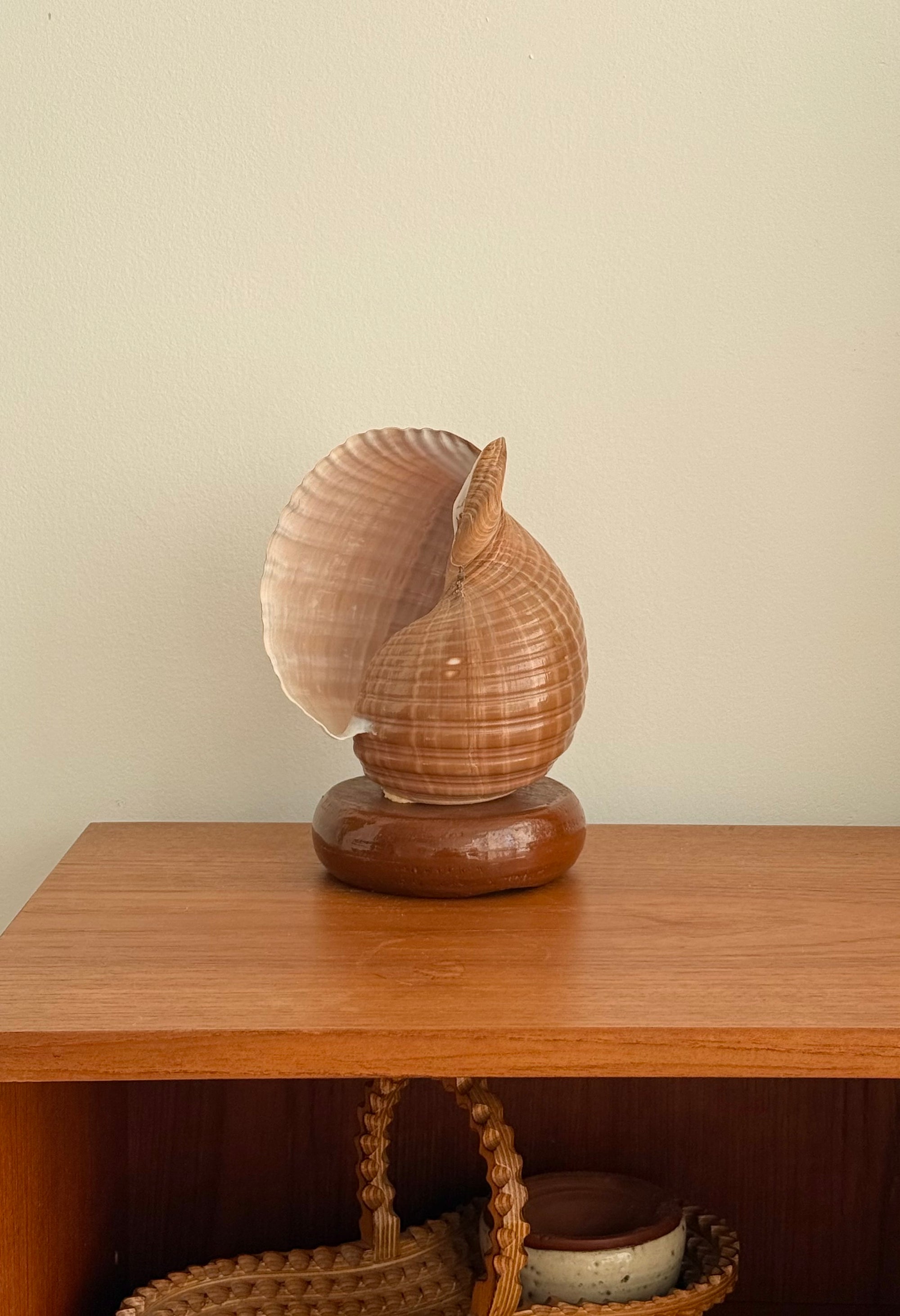 Shell Lamp c.1970