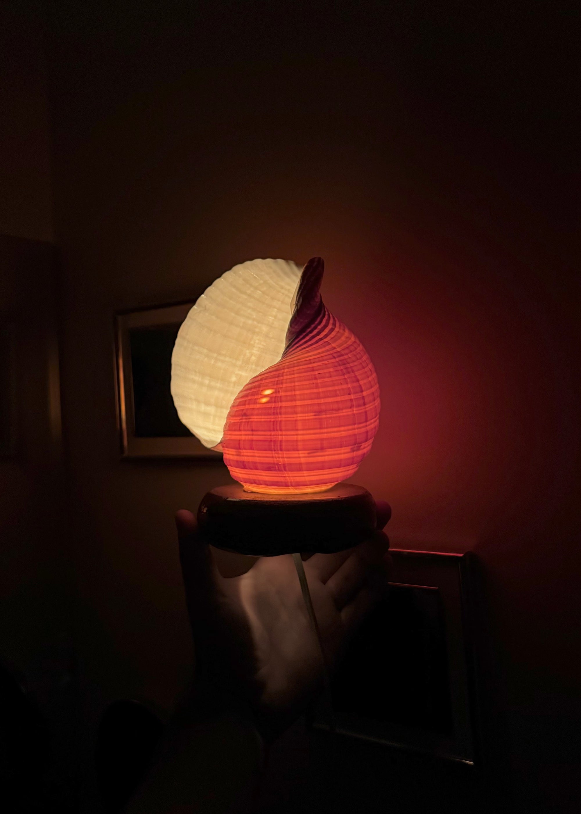 Shell Lamp c.1970