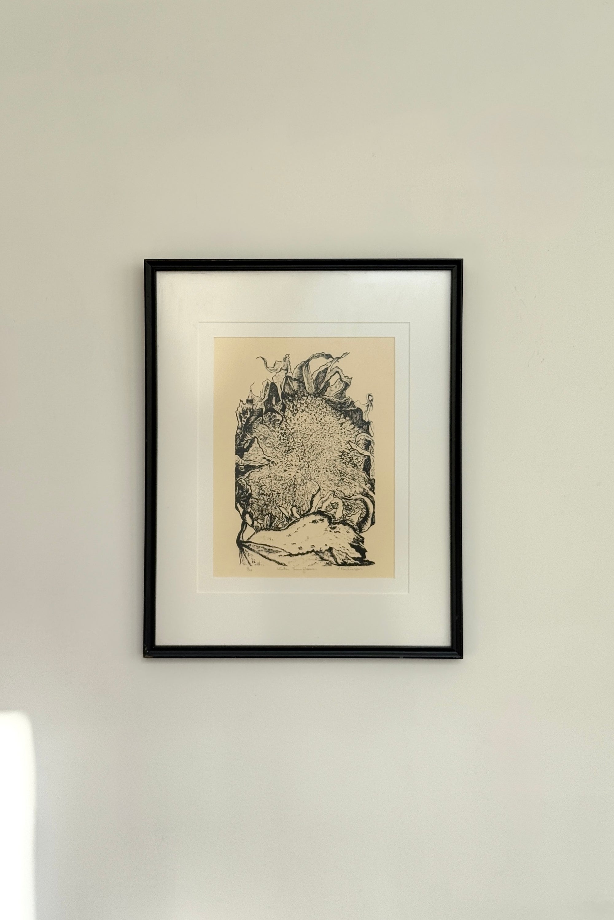Winter Sunflower Signed Lithograph by P. Parkinson