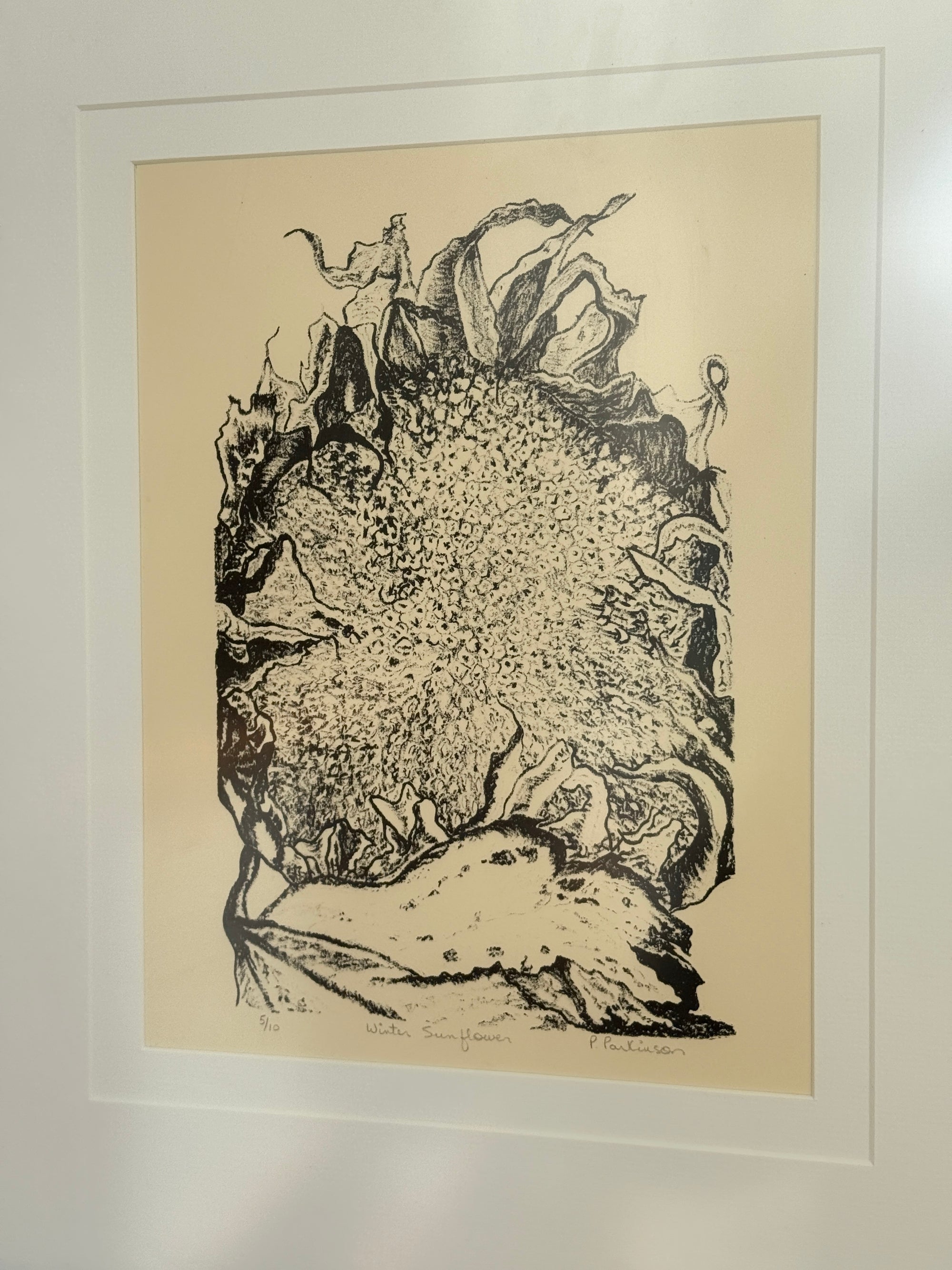 Winter Sunflower Signed Lithograph by P. Parkinson