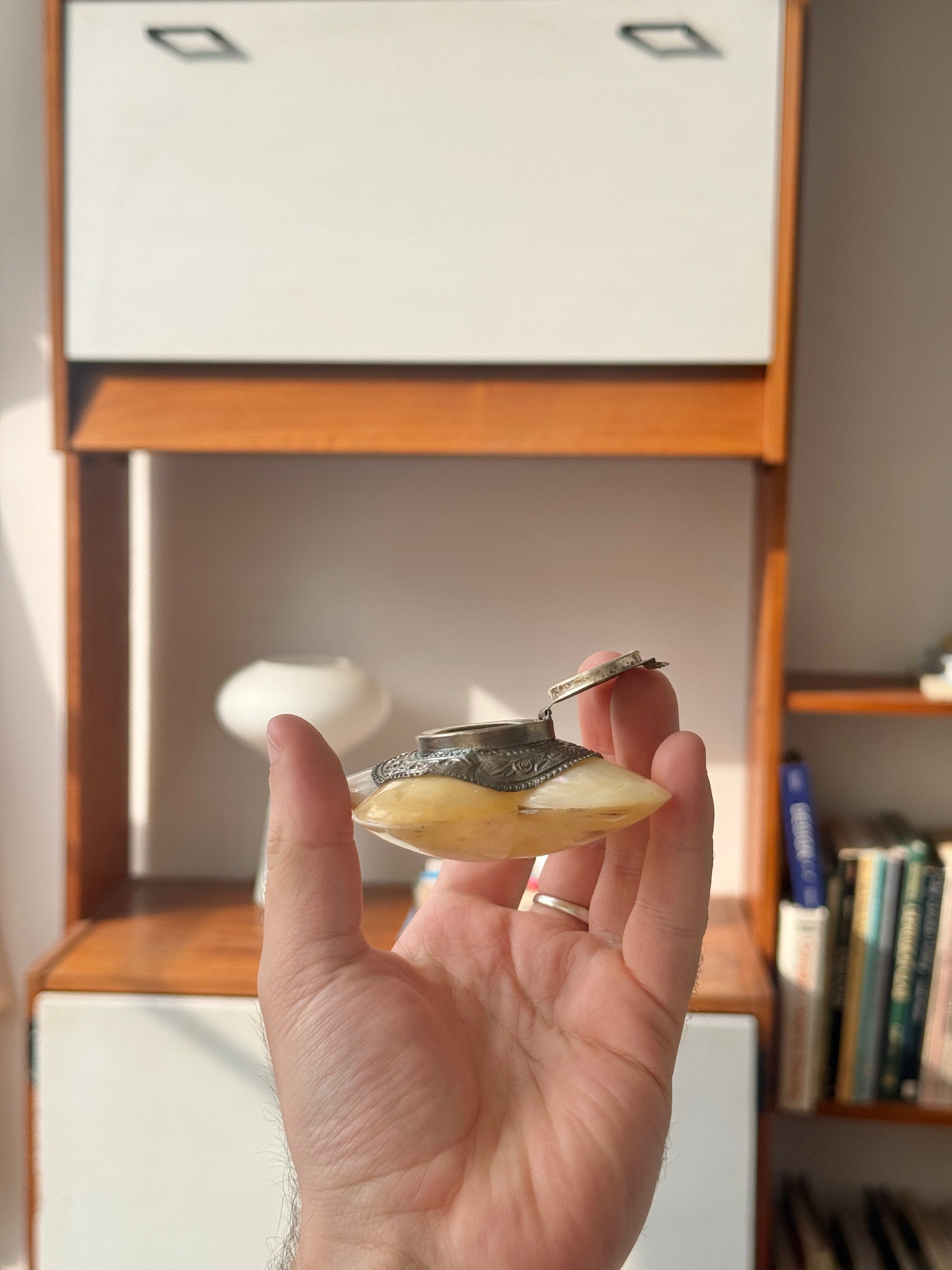 Seashell Pill Box c.1950