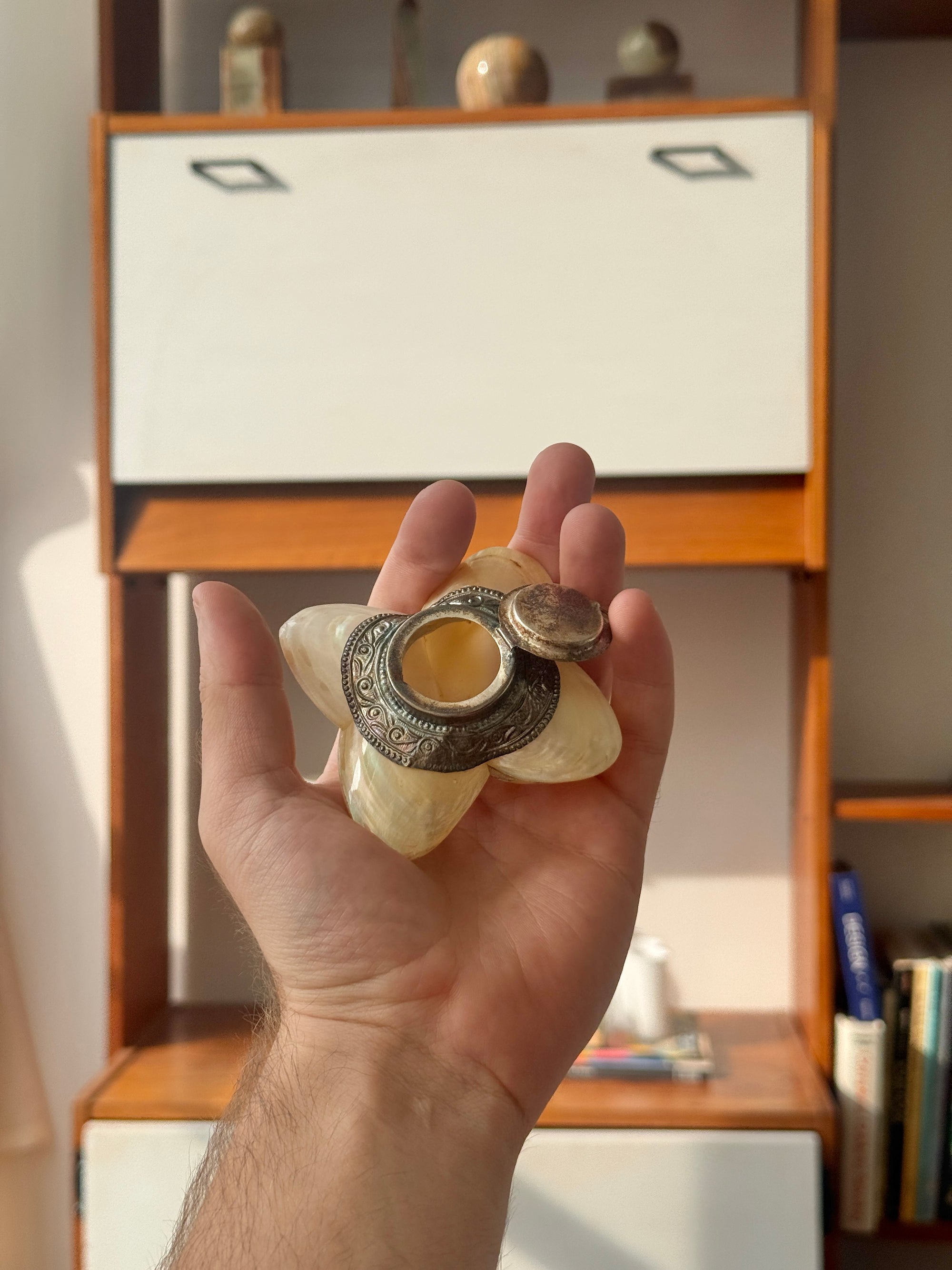 Seashell Pill Box c.1950
