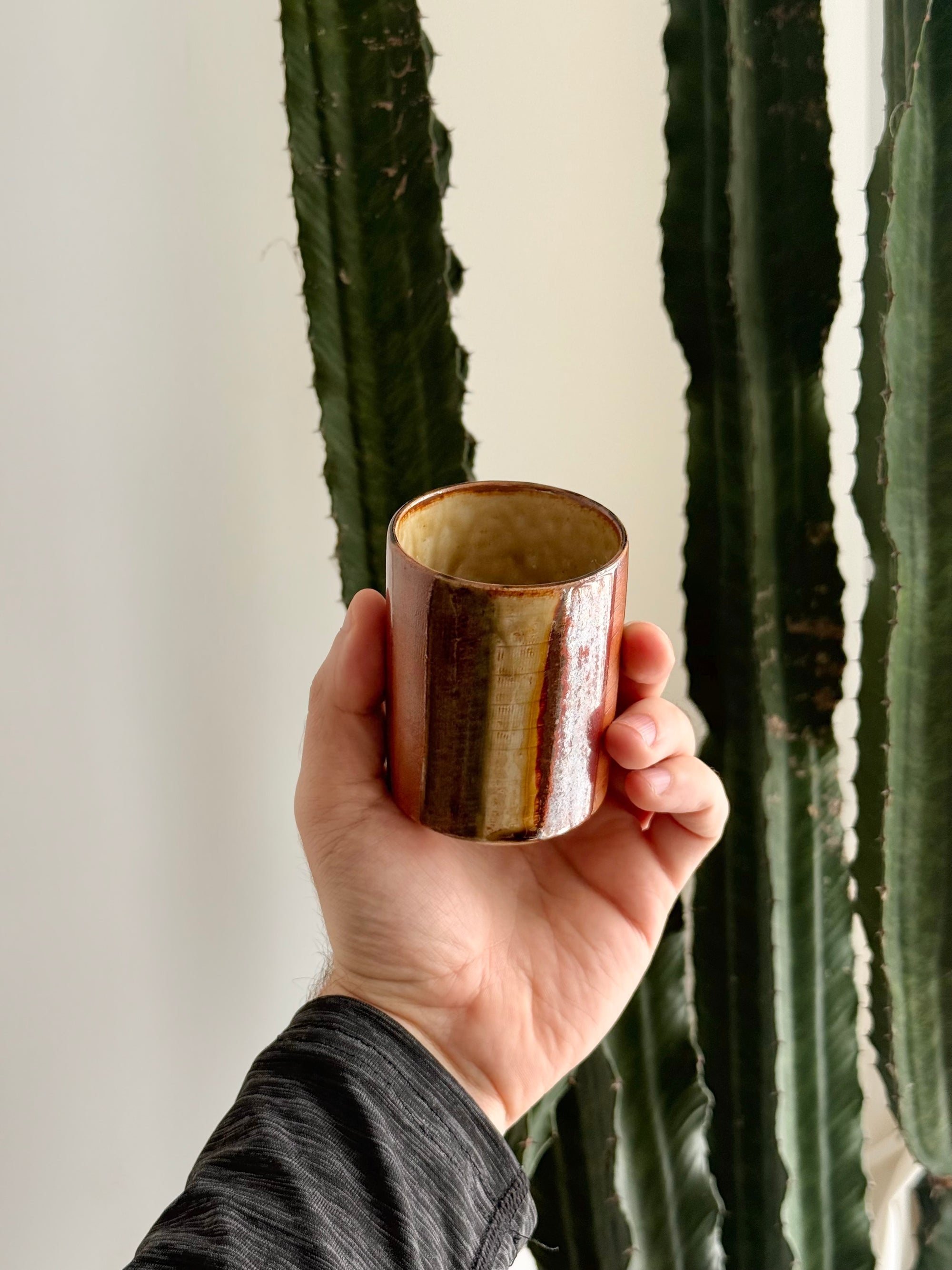Ceramics Cup Set made in Japan c.1970