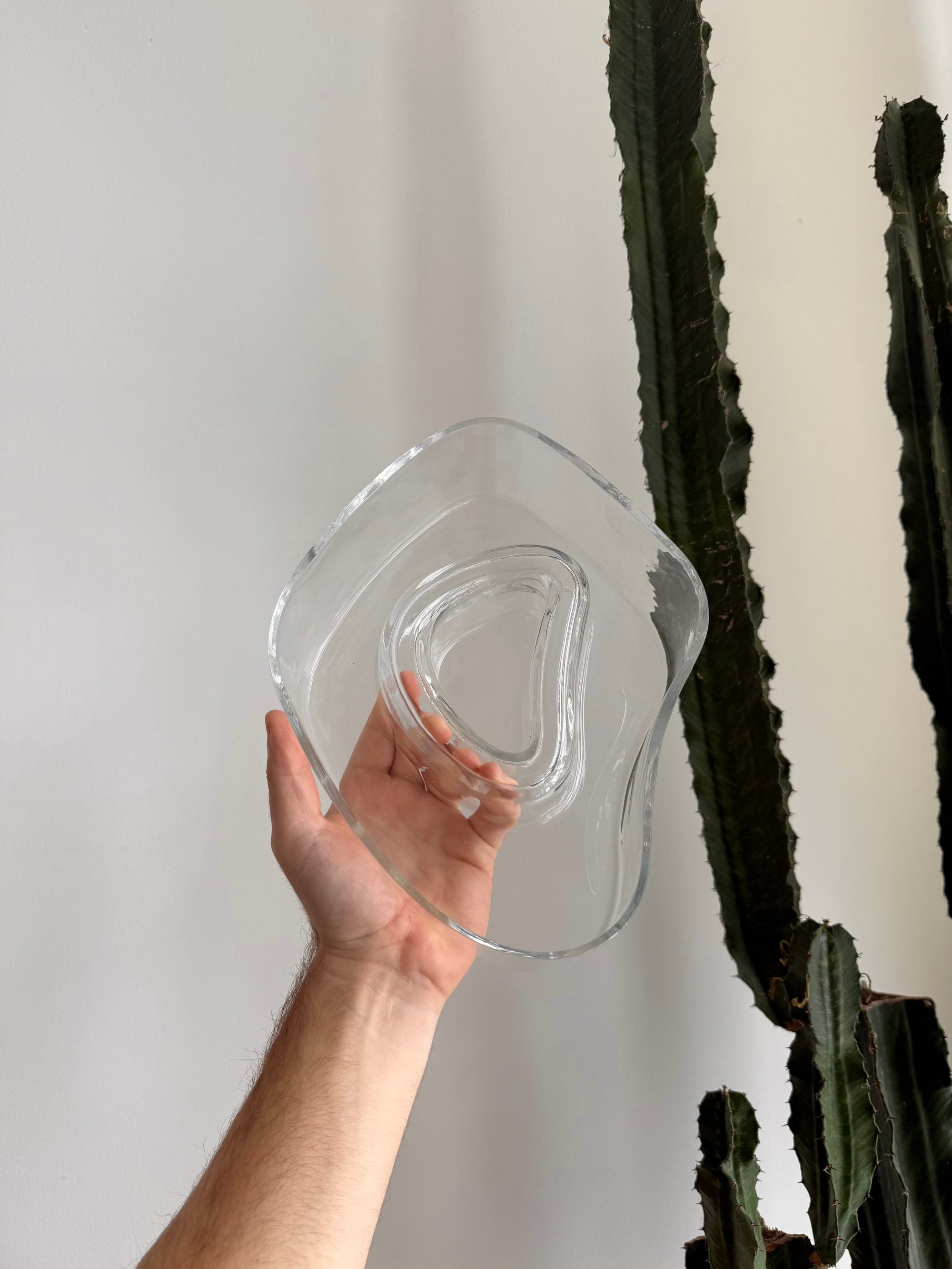 Organic Form Glass Bowl Server