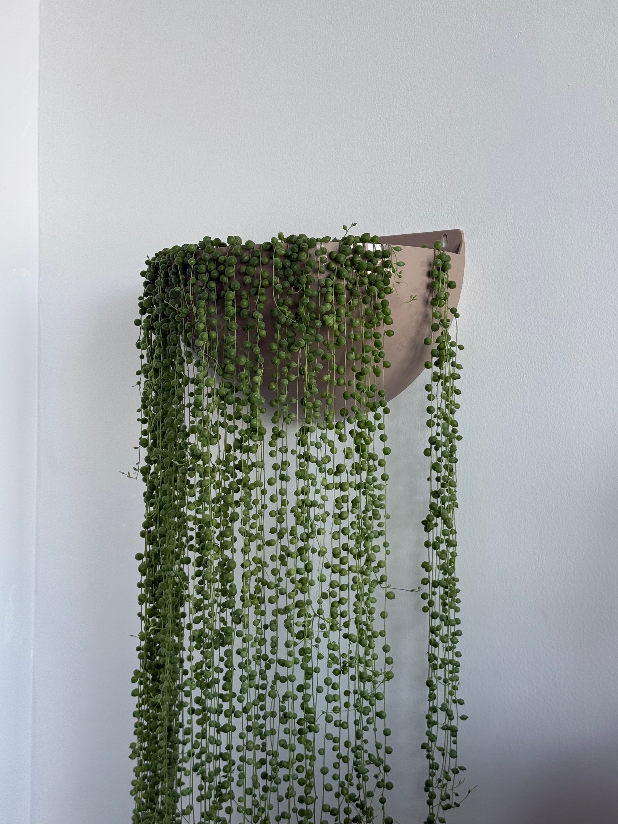 Space Age Bubble Planter