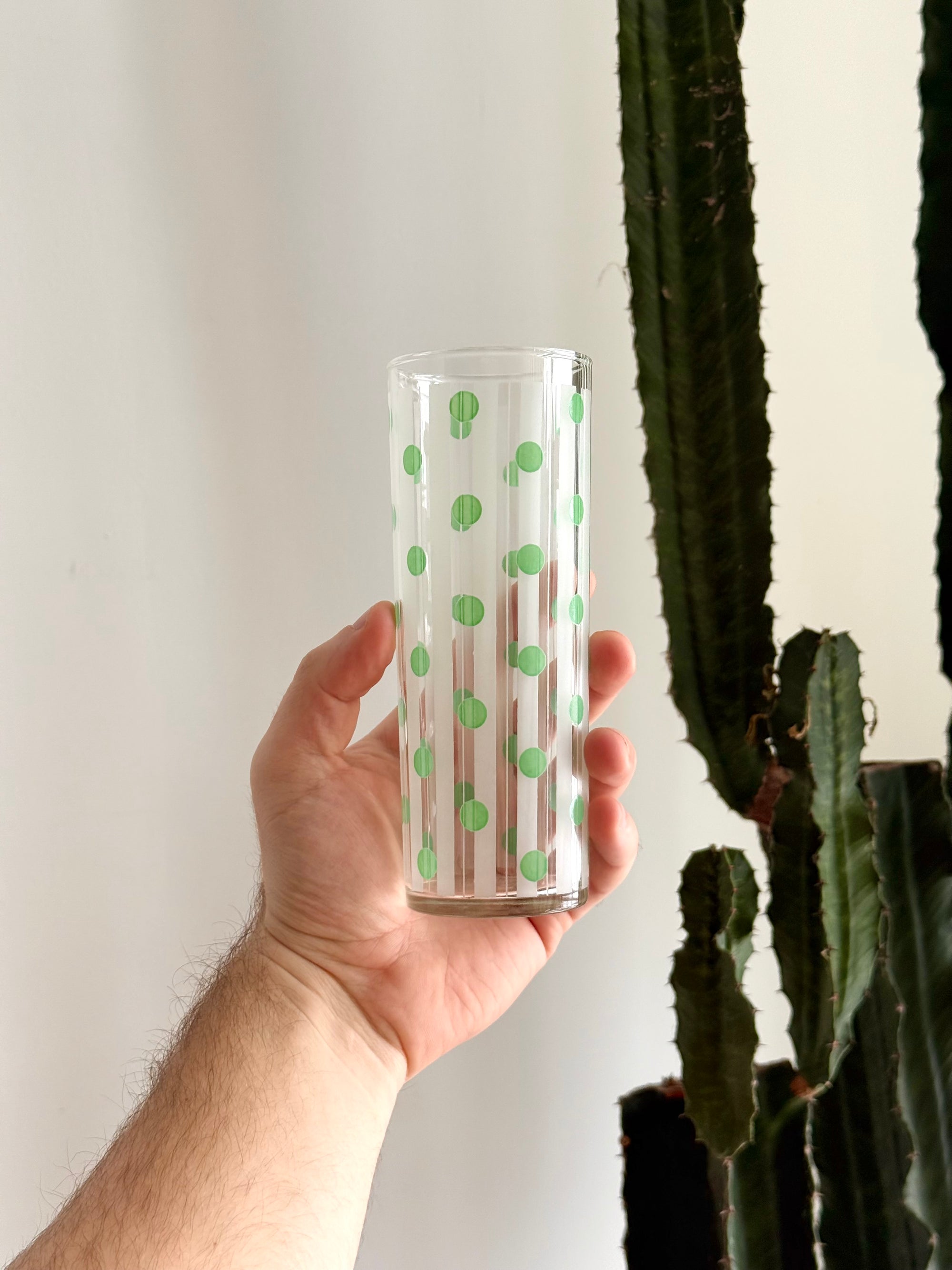 Hand painted Collins Glass set of 5 by Dominion c.1950