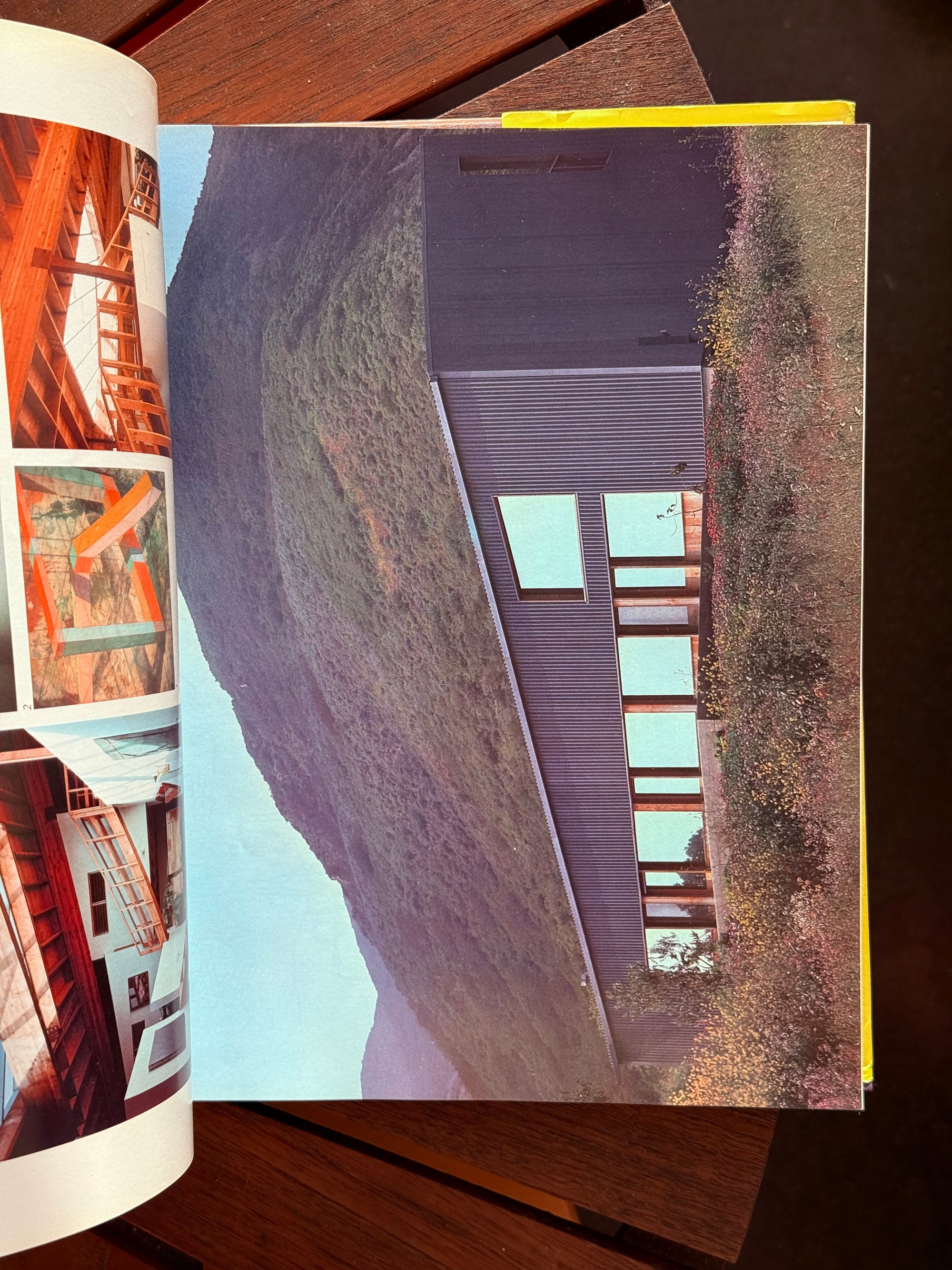 Frank Gehry by Mason Andrew’s c.1985