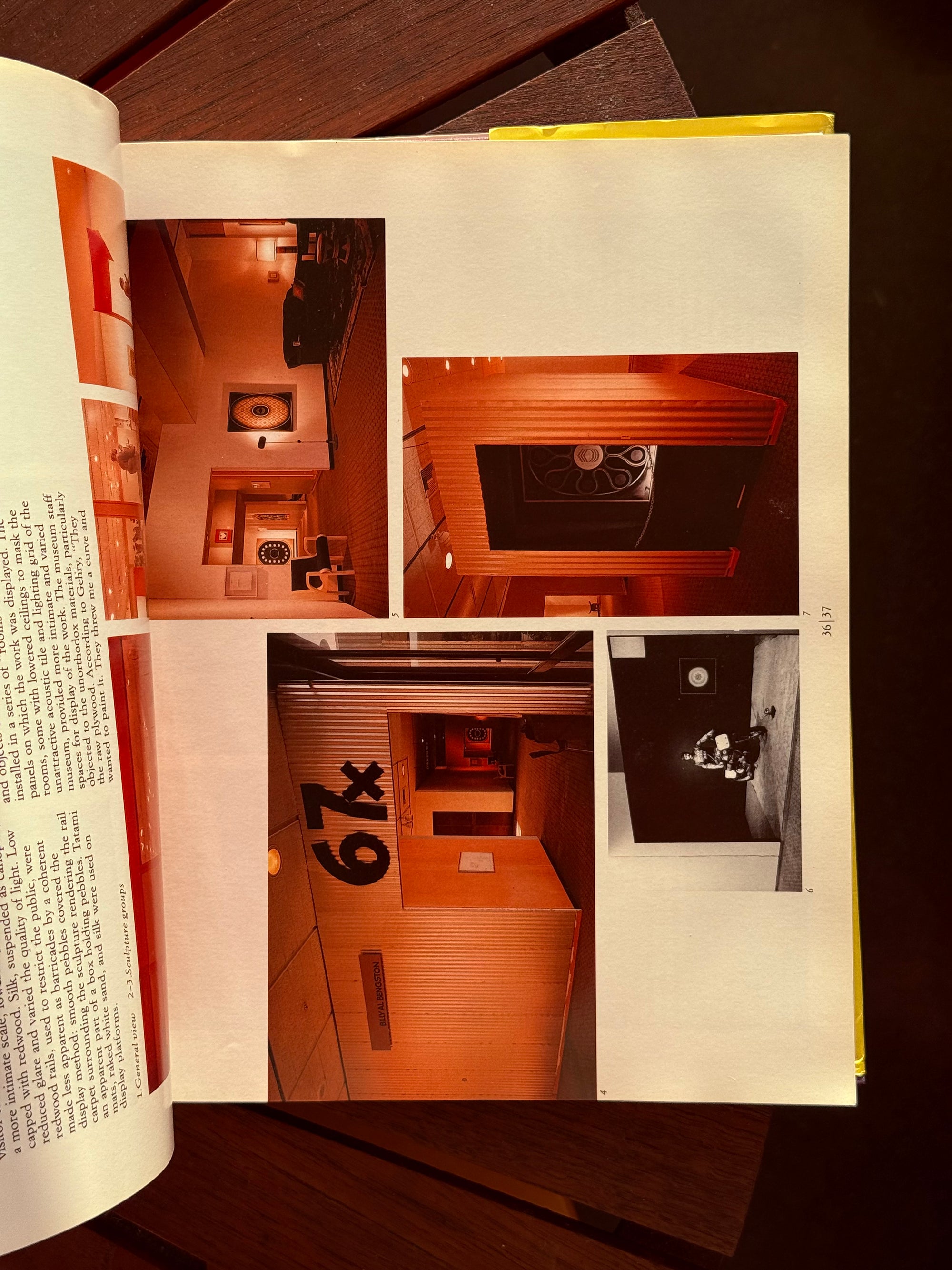 Frank Gehry by Mason Andrew’s c.1985