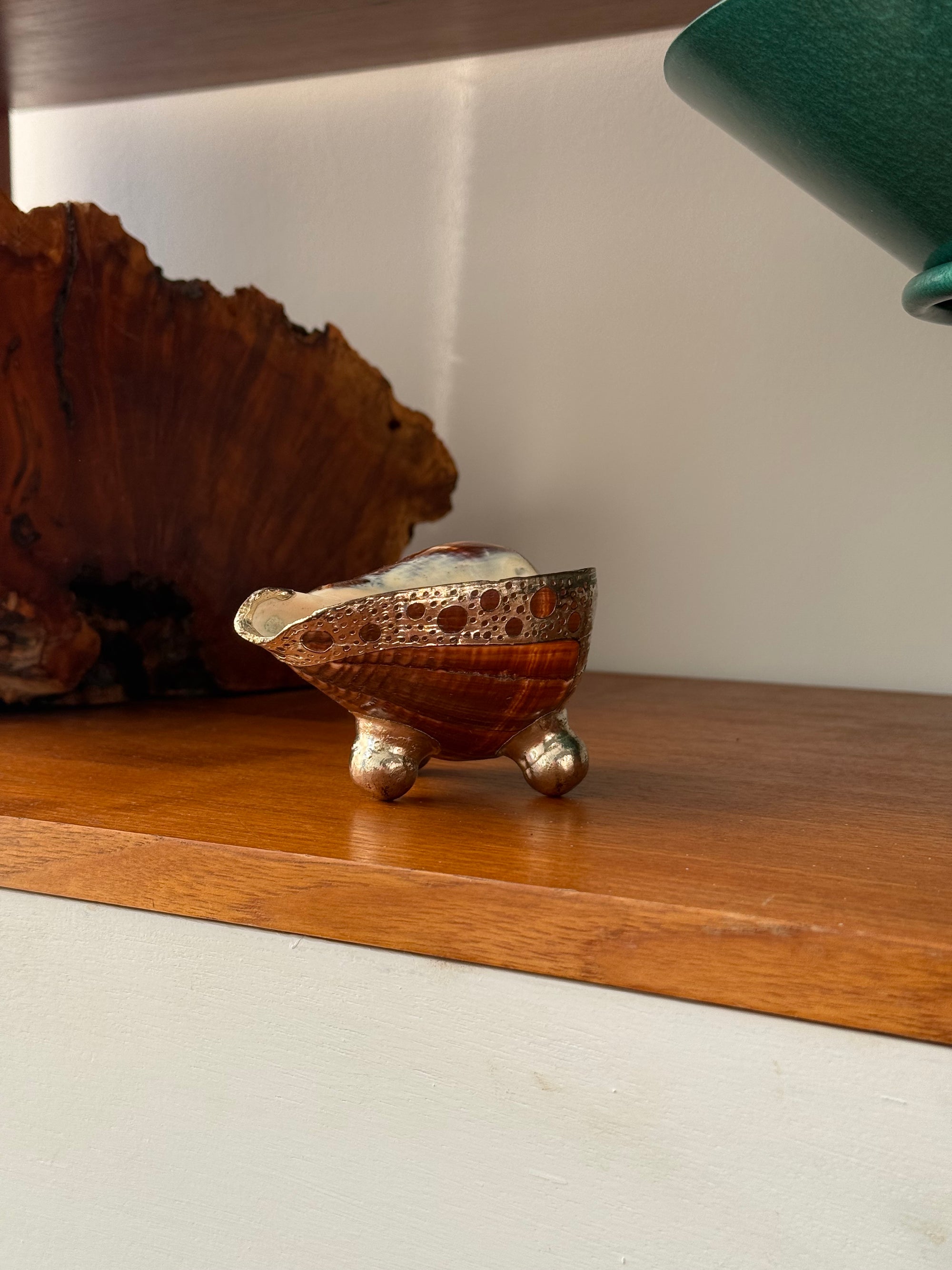 Footed Sea Shell Dish