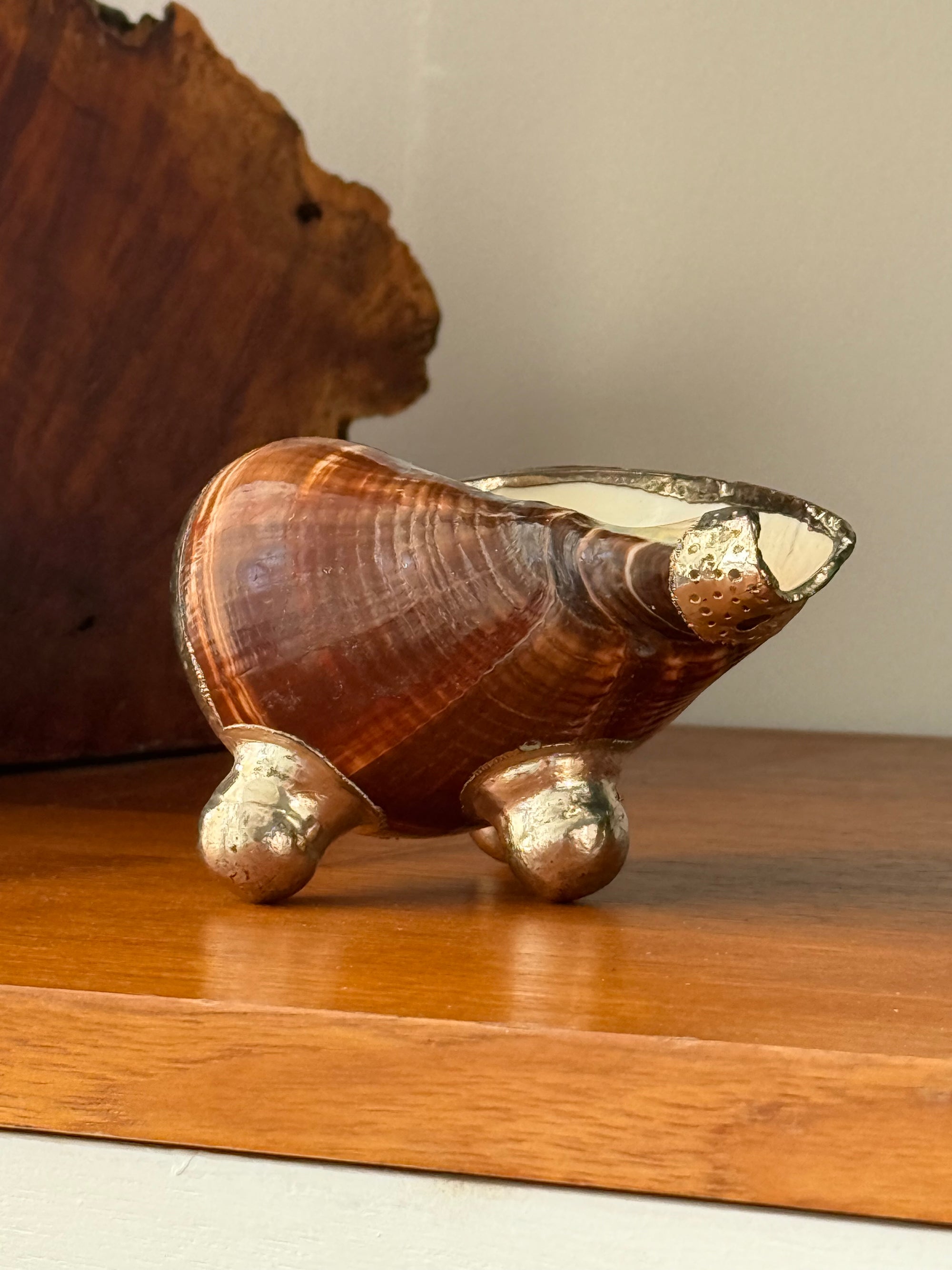 Footed Sea Shell Dish