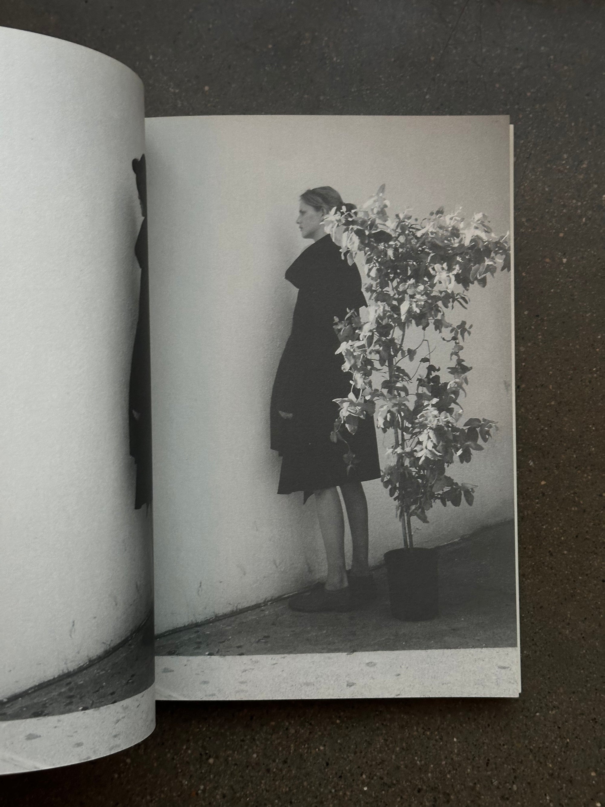 1978 by Mark Borthwick c. 1997 1st Edition