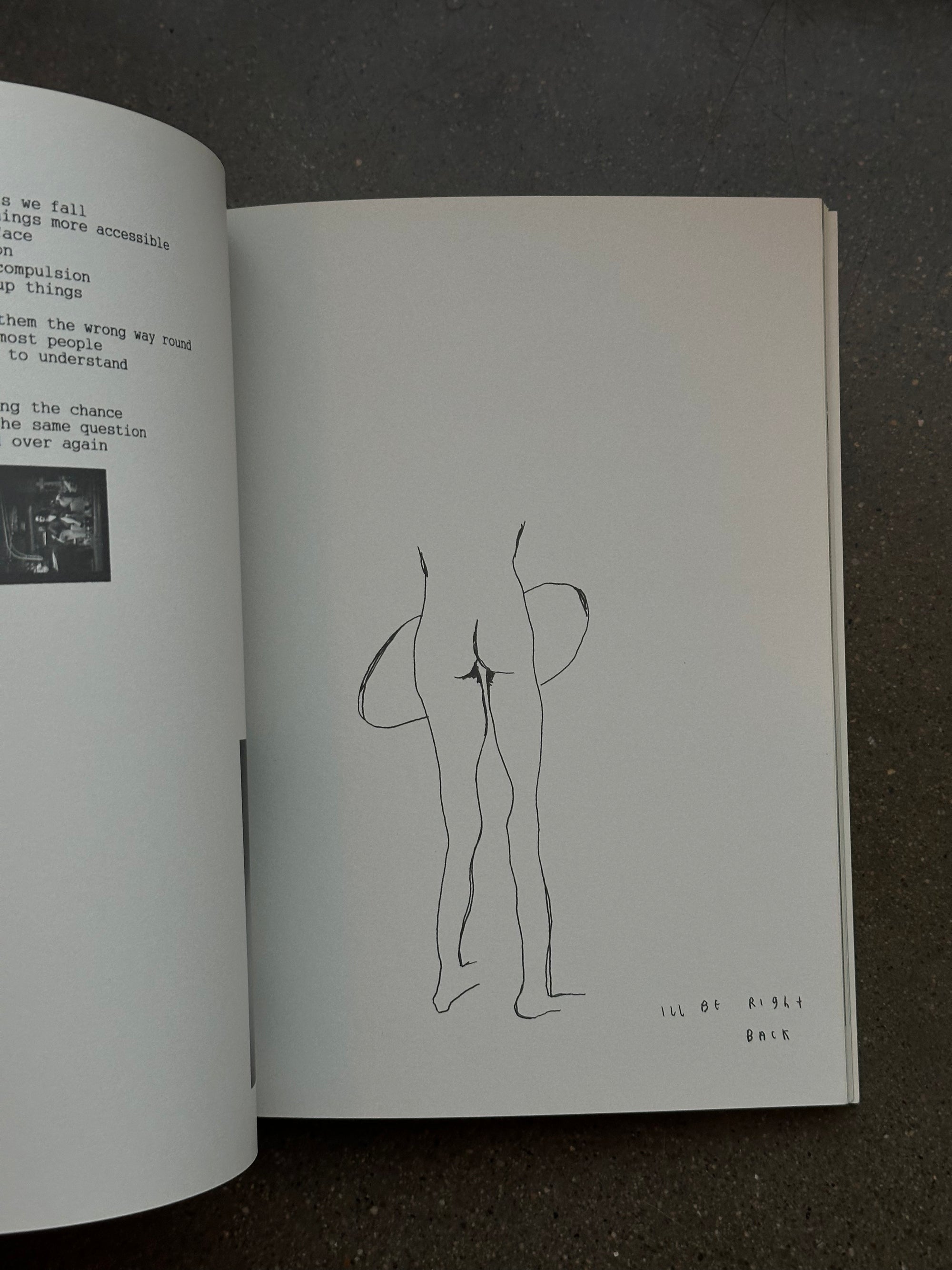 1978 by Mark Borthwick c. 1997 1st Edition