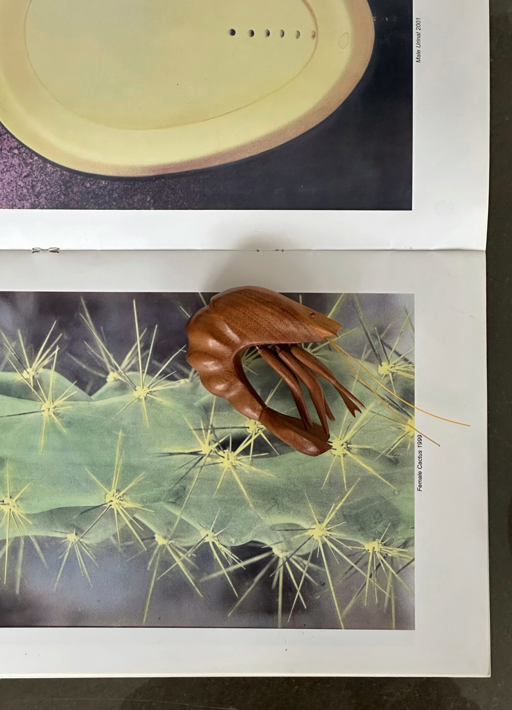 Hand Carved Teak Shrimp